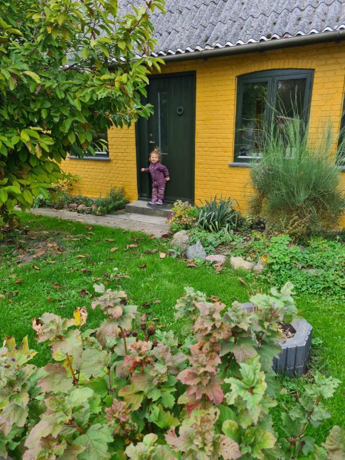 מריבו Inspiration Center Denmark, Bed & Breakfast מראה חיצוני תמונה